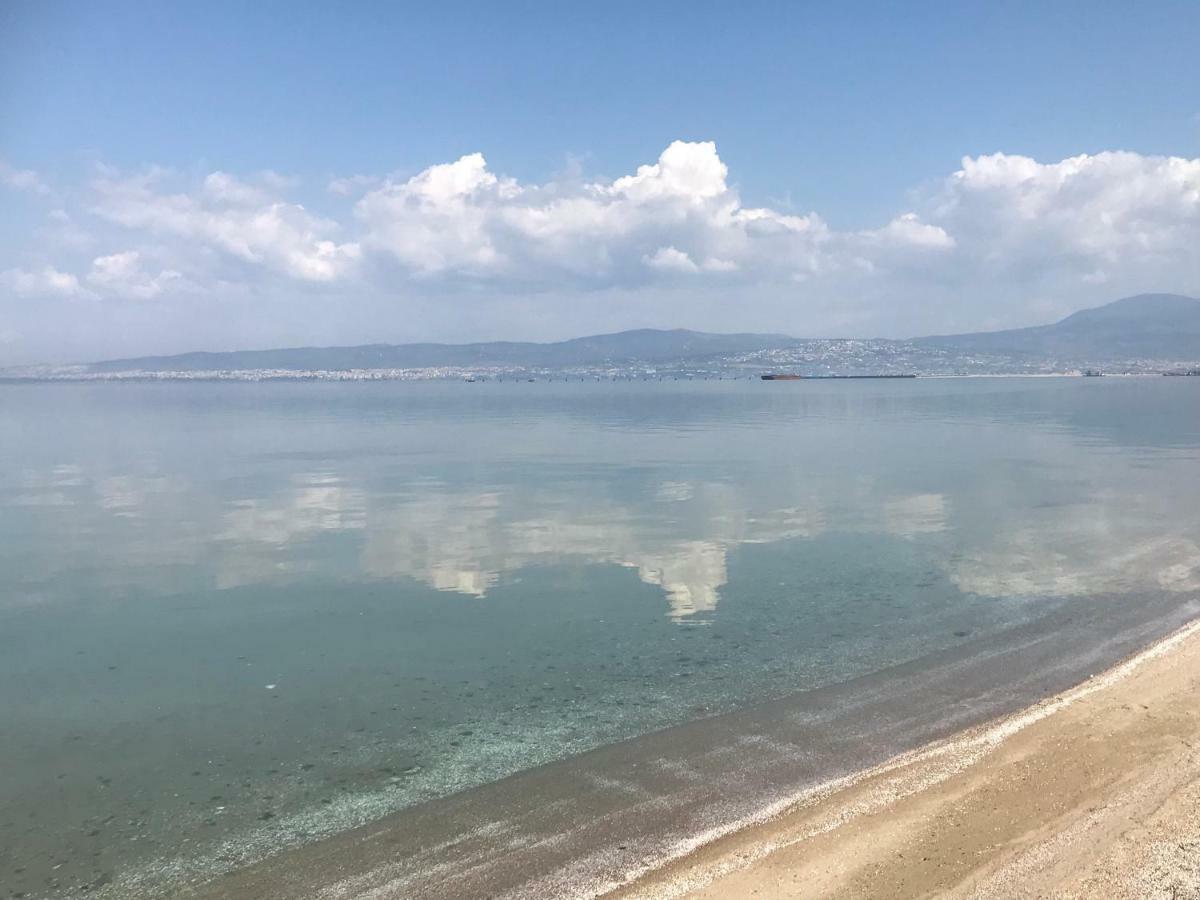 Lovely And Sunny Apartament 300M From Beach!! Peraía Екстериор снимка